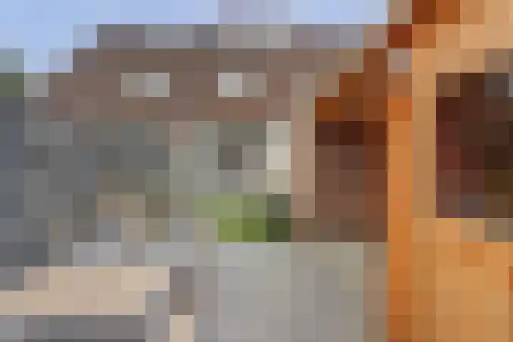 Maracas 49 Rotterdam thumbnail 5