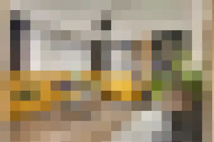 Maracas 49 Rotterdam thumbnail 8