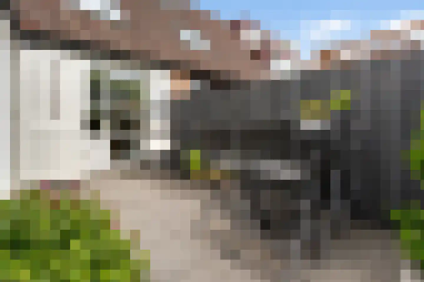 Maracas 51 Rotterdam thumbnail 25