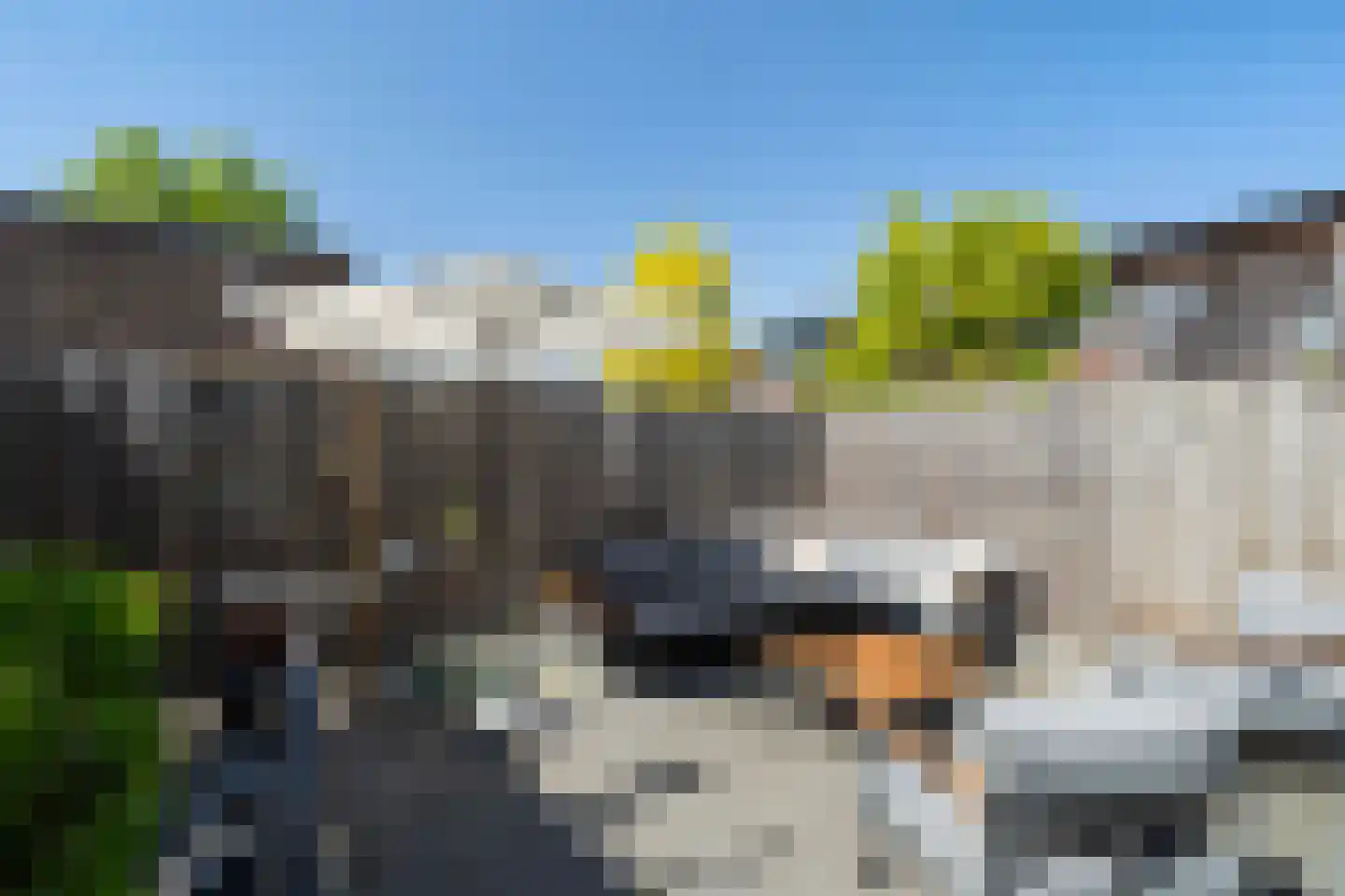 Maracas 55 Rotterdam thumbnail 4