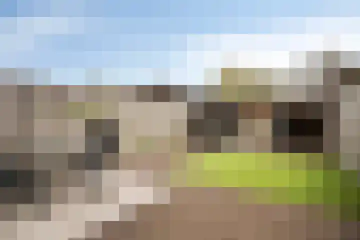 Marathon 119 Etten-Leur thumbnail 31
