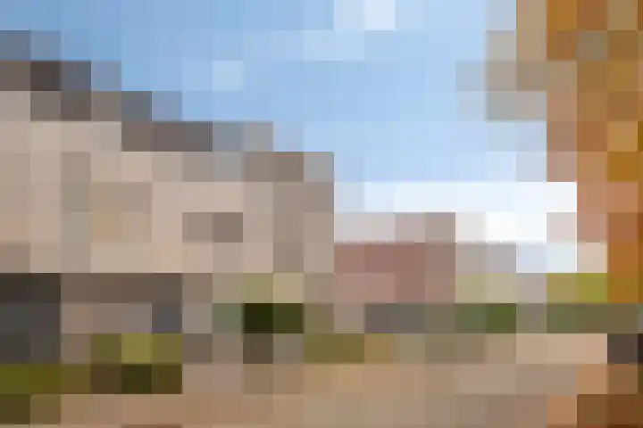 Marathon 119 Etten-Leur thumbnail 36