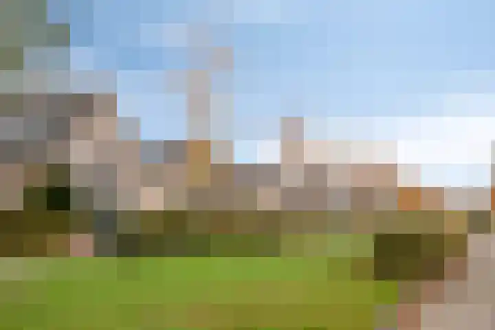 Marathon 119 Etten-Leur thumbnail 37