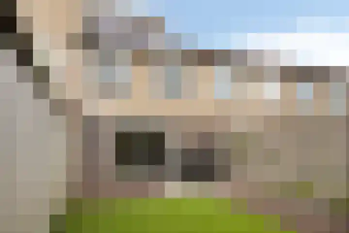 Marathon 119 Etten-Leur thumbnail 4
