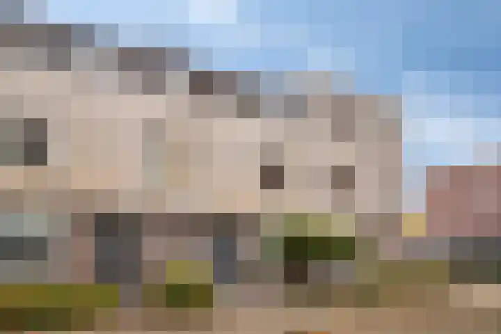 Marathon 119 Etten-Leur thumbnail 5
