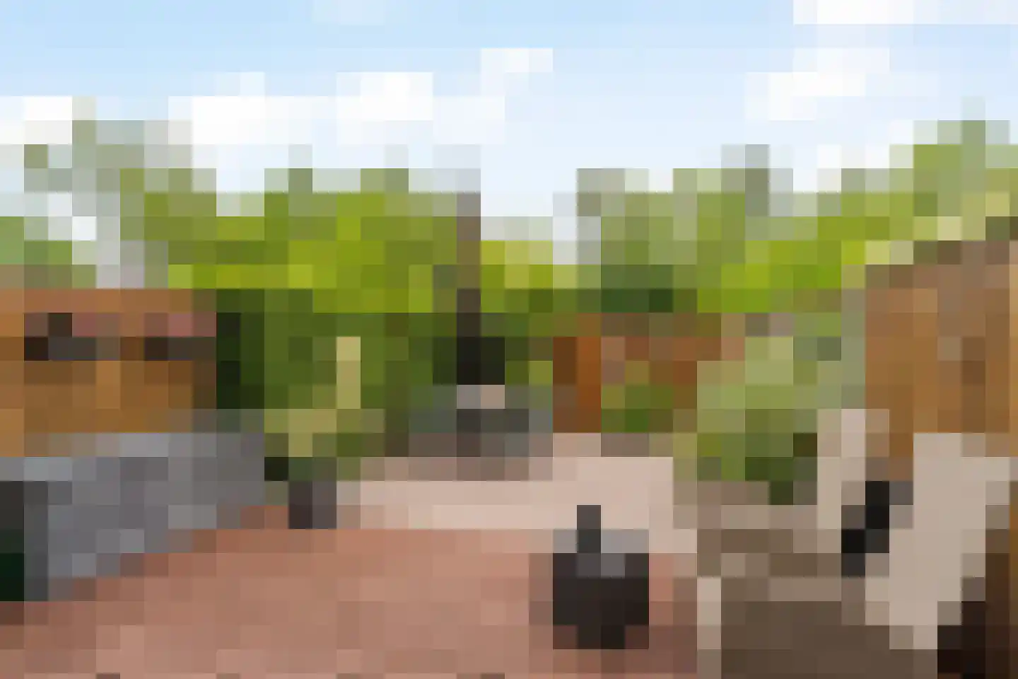 Marathon 124 Krimpen aan den IJssel thumbnail 28