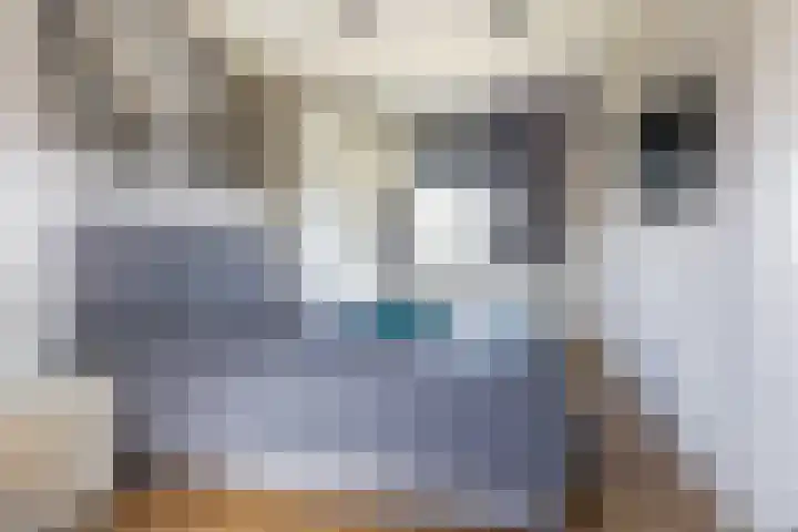 Marathon 18 Assendelft thumbnail 20