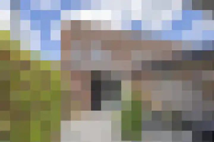 Marathon 18 Assendelft thumbnail 23