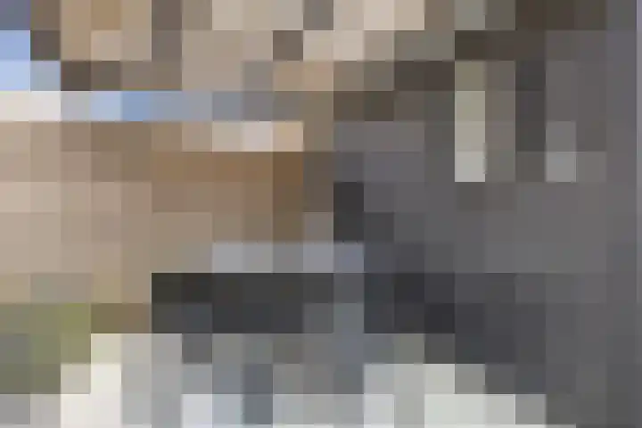 Marathon 18 Assendelft thumbnail 24