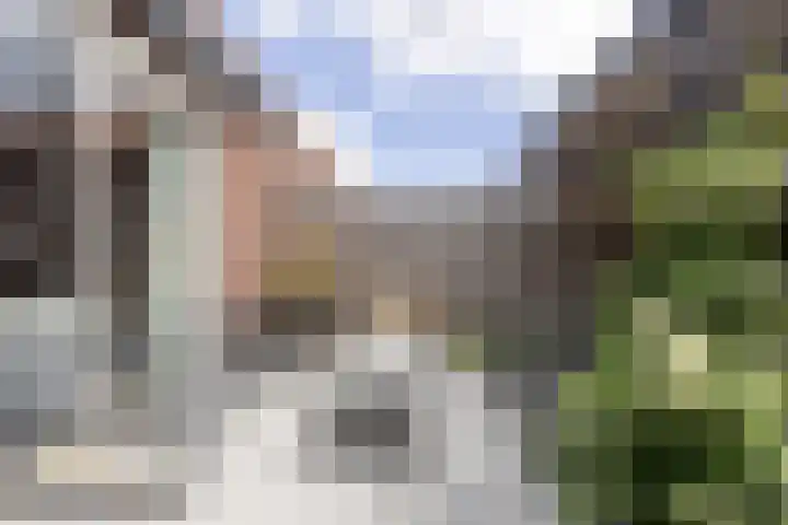 Marathon 18 Assendelft thumbnail 25