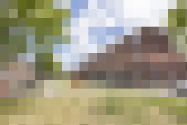 Marathon 18 Assendelft thumbnail 30