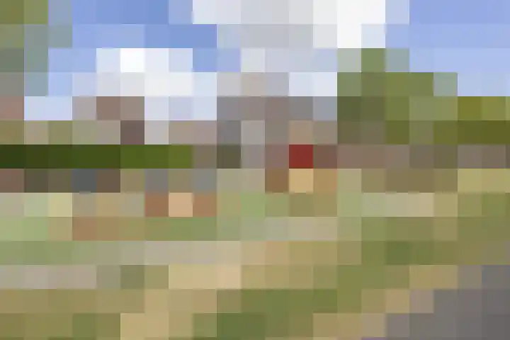 Marathon 18 Assendelft thumbnail 31