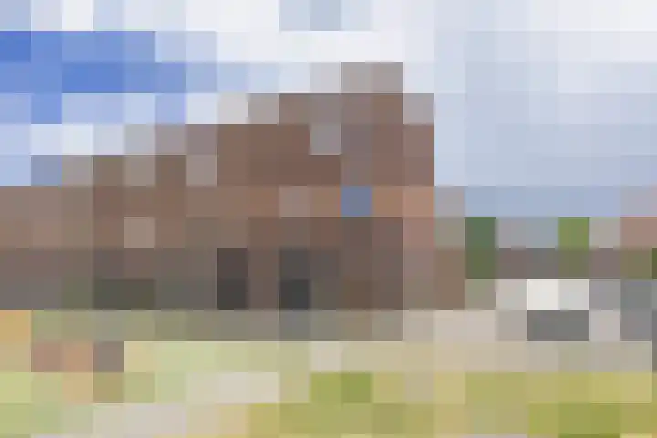 Marathon 18 Assendelft thumbnail 36