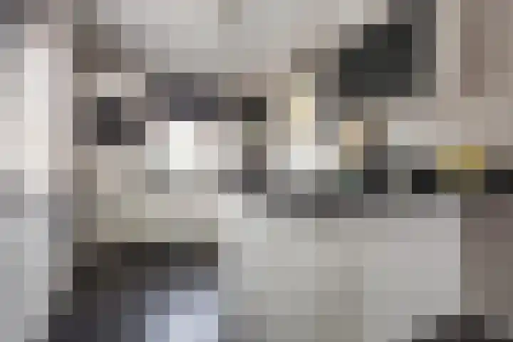 Marathon 18 Assendelft thumbnail 8