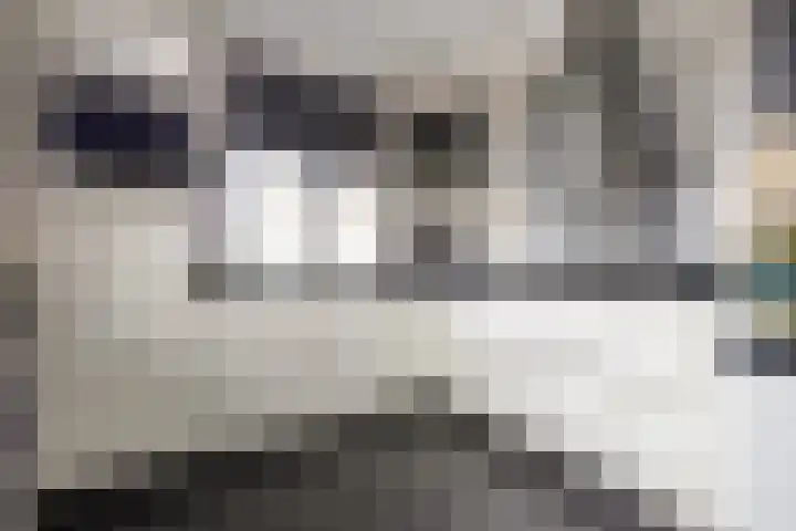 Marathon 18 Assendelft thumbnail 9