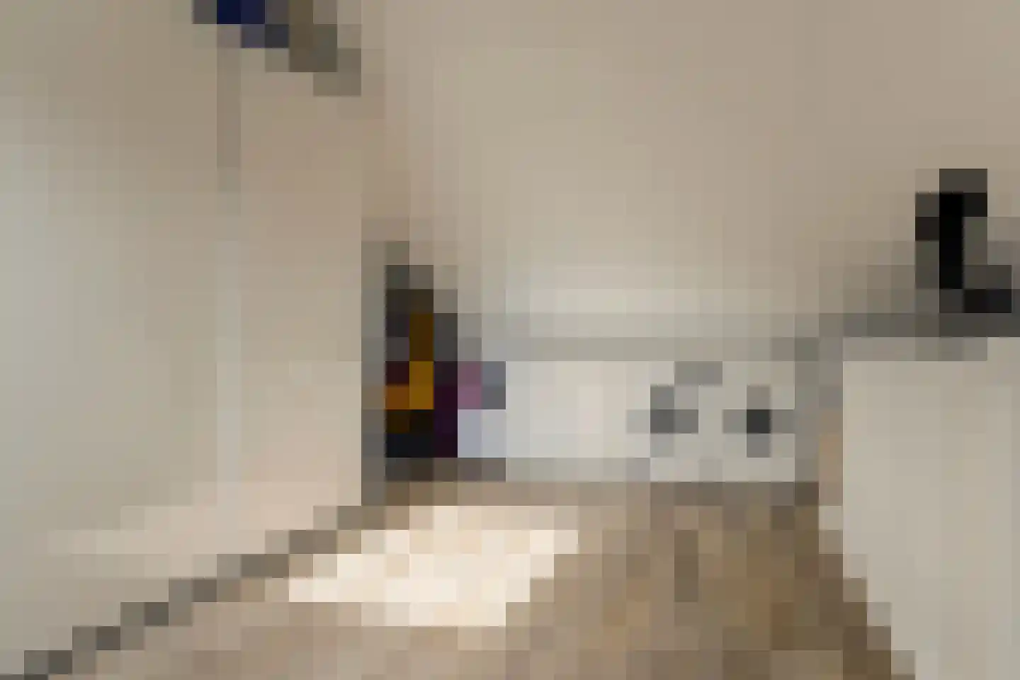 Marathon 33 Elst thumbnail 27