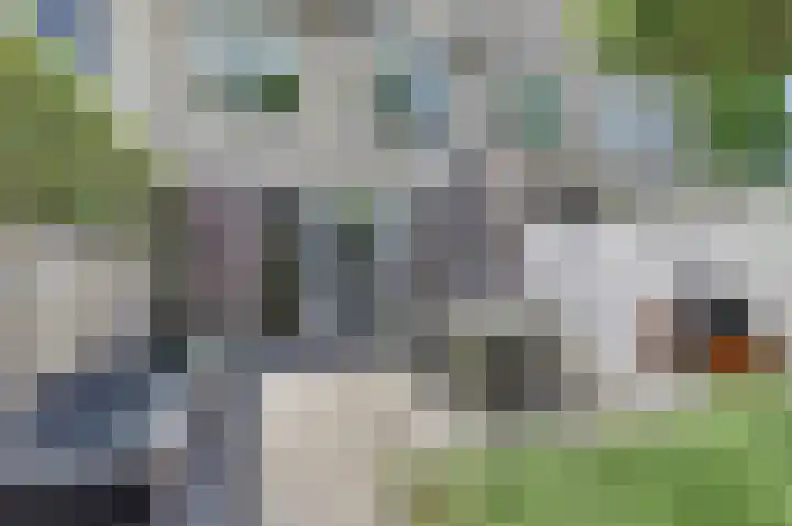 Marathon 55 Etten-Leur thumbnail 30
