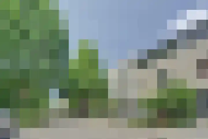 Marathon 55 Etten-Leur thumbnail 5