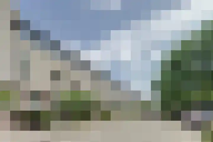 Marathon 55 Etten-Leur thumbnail 6