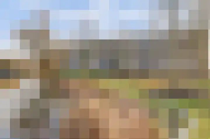 Marathonlaan 61 Gouda thumbnail 25