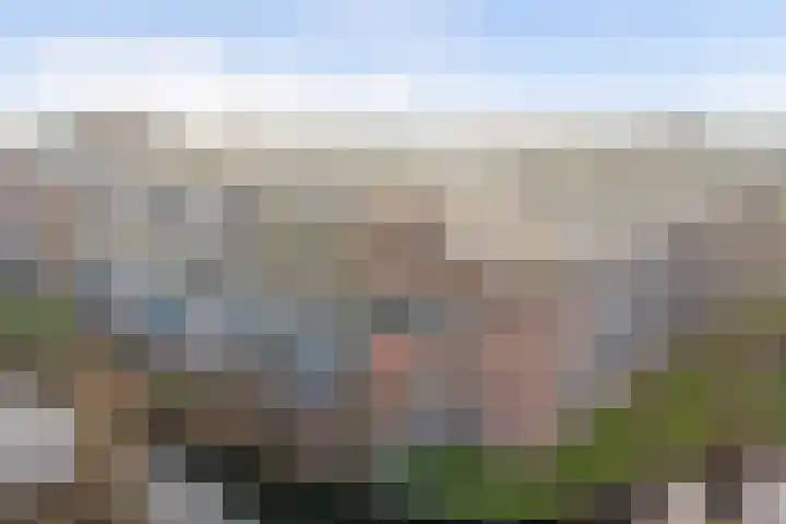 Marathonlaan 61 Gouda thumbnail 28