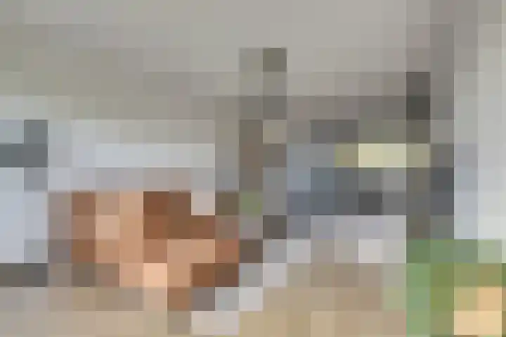 Marathonlaan 97 Gouda thumbnail 10