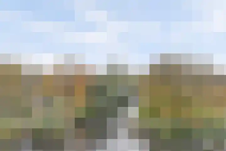 Marathonlaan 97 Gouda thumbnail 25