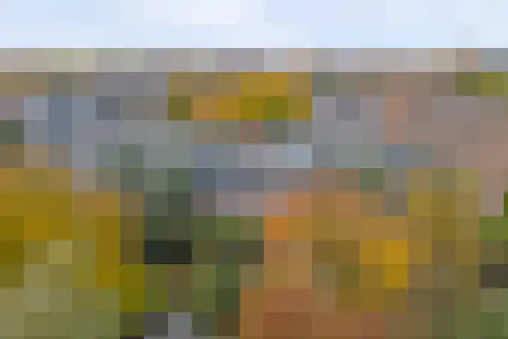 Marathonlaan 97 Gouda thumbnail 30