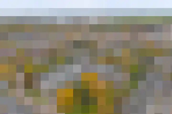 Marathonlaan 97 Gouda thumbnail 31