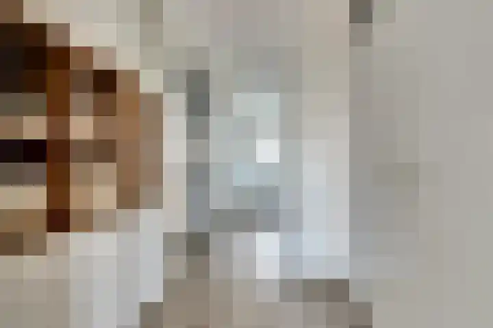 Marathonlaan 97 Gouda thumbnail 8