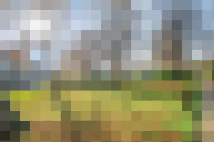 Marathonstraat 7 Purmerend thumbnail 36
