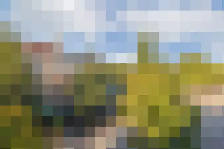 Marathonweg 3 2 Amsterdam thumbnail 10