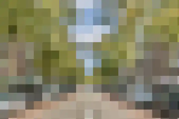 Marathonweg 3 2 Amsterdam thumbnail 23