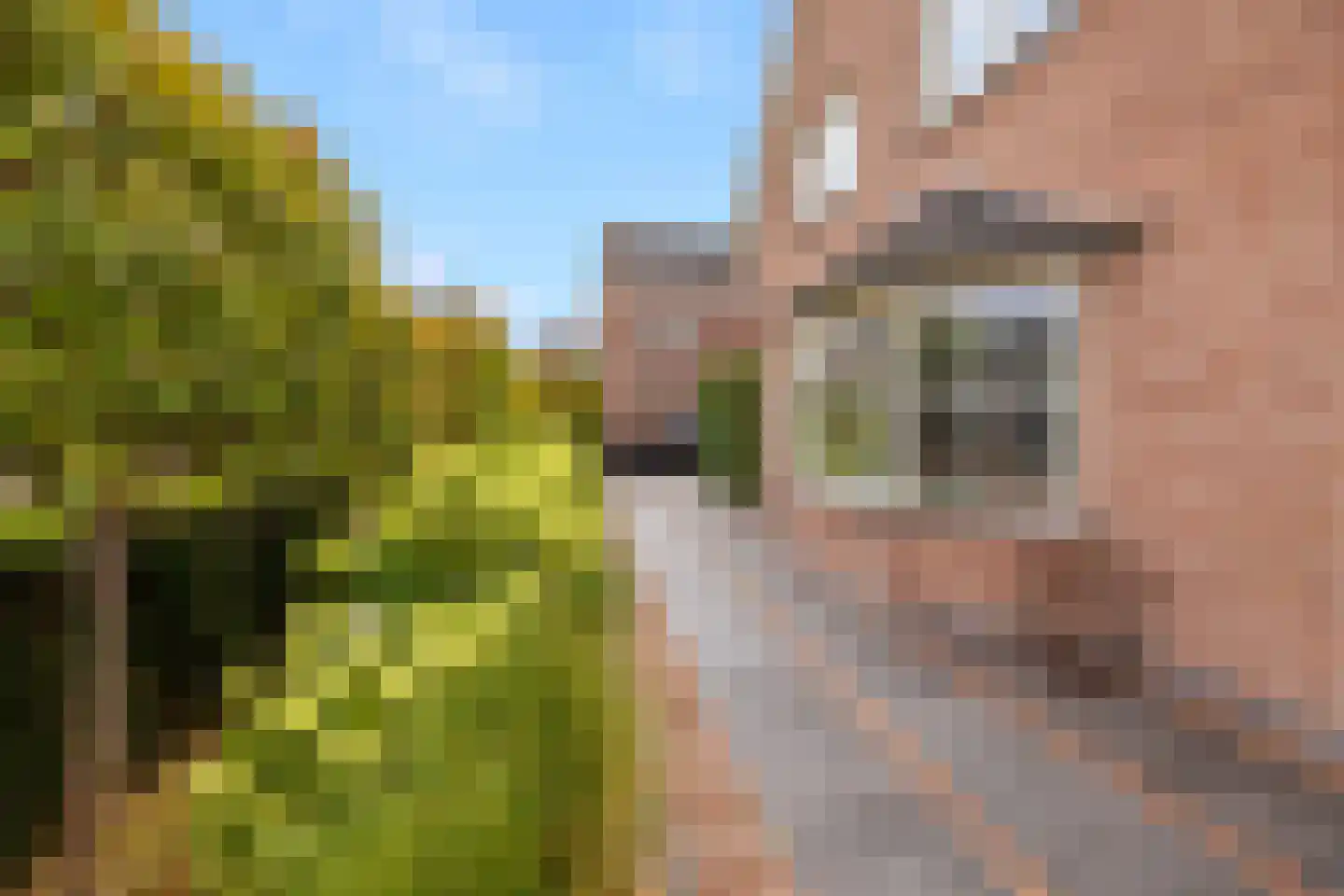 Marcandostraat 92 Hellevoetsluis thumbnail 12