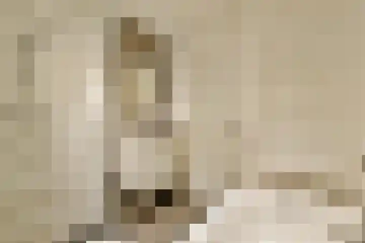 Marcantilaan 128 Amsterdam thumbnail 16