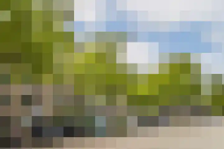 Marcantilaan 128 Amsterdam thumbnail 18