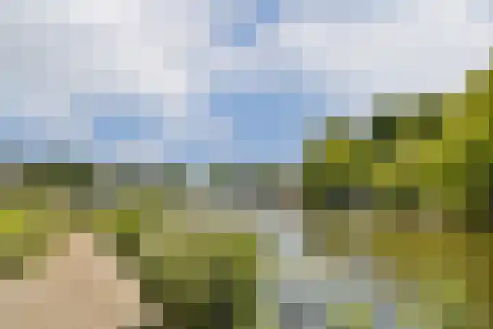 Marcantilaan 128 Amsterdam thumbnail 20