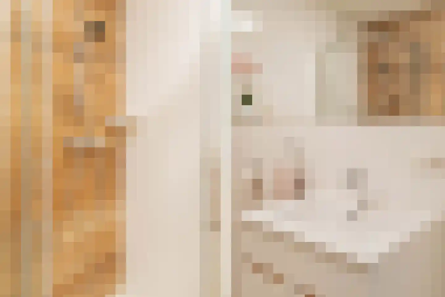Marcantilaan 137 Amsterdam thumbnail 22