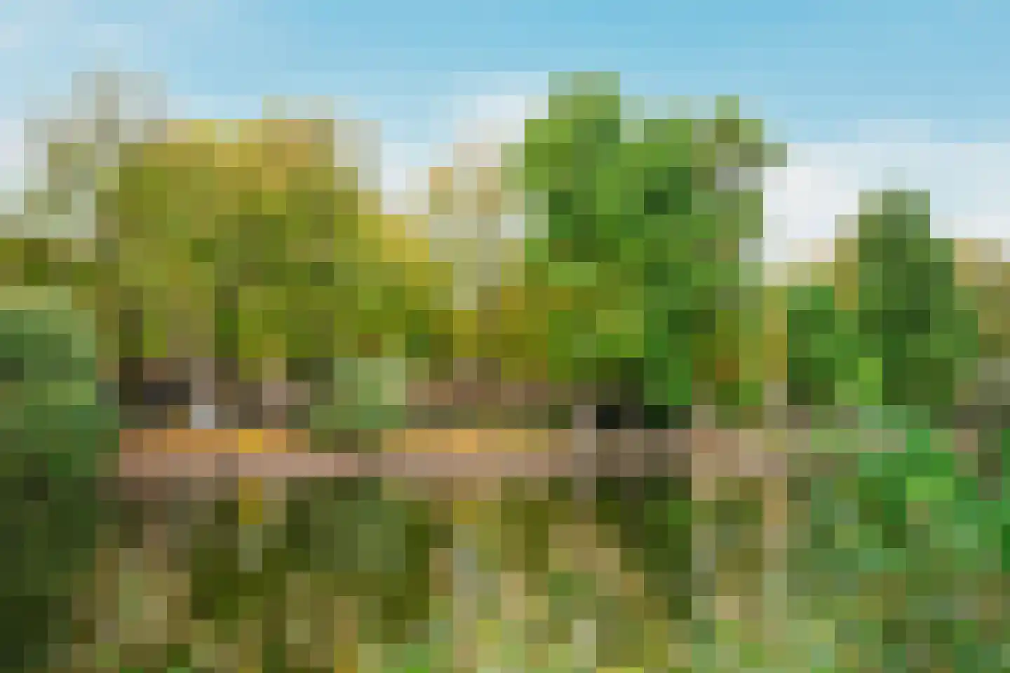 Marcantilaan 137 Amsterdam thumbnail 30