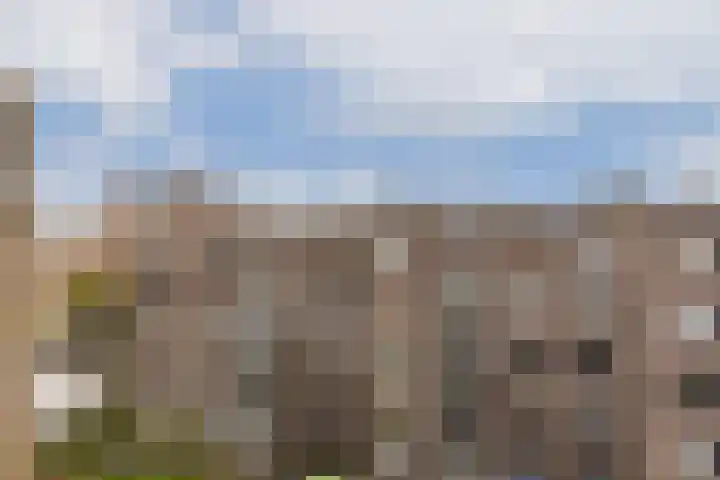 Marcantilaan 147 Amsterdam thumbnail 19
