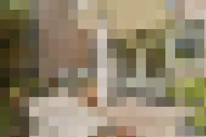Marcantilaan 191 Amsterdam thumbnail 10