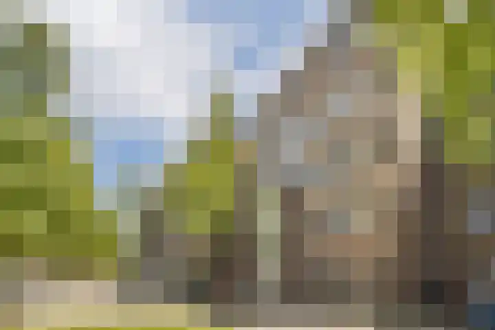 Marcantilaan 191 Amsterdam thumbnail 18