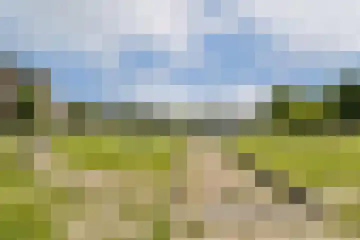 Marcantilaan 191 Amsterdam thumbnail 22