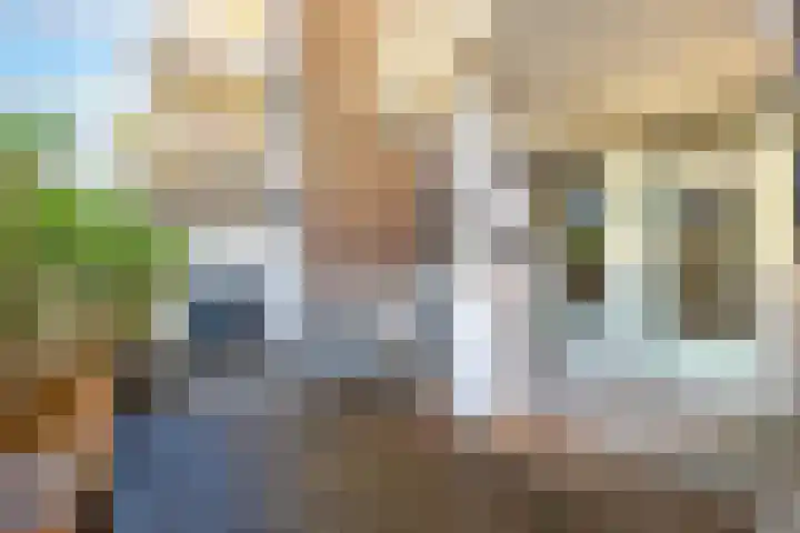 Marcantilaan 221 Amsterdam thumbnail 12