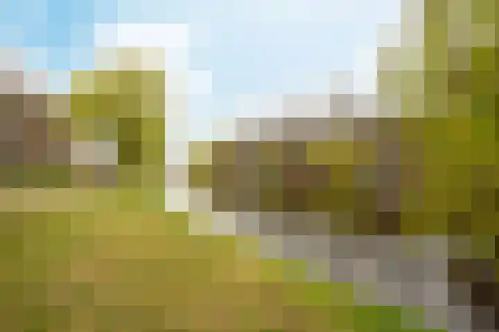 Marcantilaan 221 Amsterdam thumbnail 19