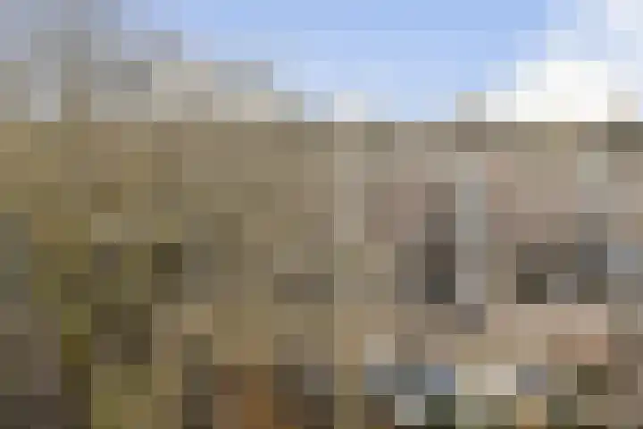 Marcantilaan 225 Amsterdam thumbnail 10