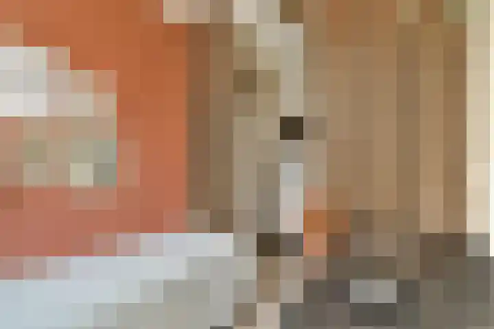 Marcantilaan 225 Amsterdam thumbnail 12