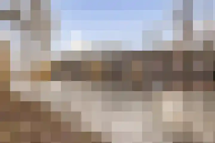 Marcantilaan 225 Amsterdam thumbnail 20