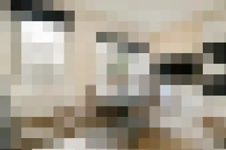 Marcantilaan 225 Amsterdam thumbnail 5