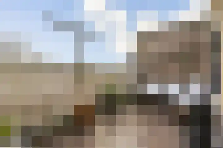Marcantilaan 225 Amsterdam thumbnail 7